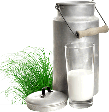 Rohmilch Rohmilch